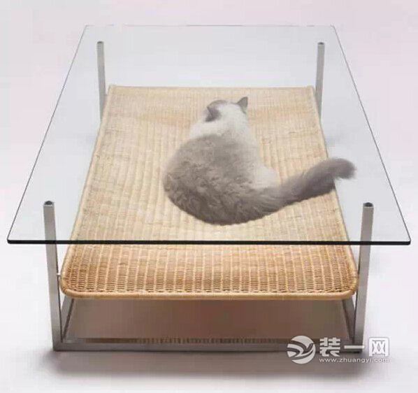 猫奴家居装修新花样 专属喵星人的猫舍设计